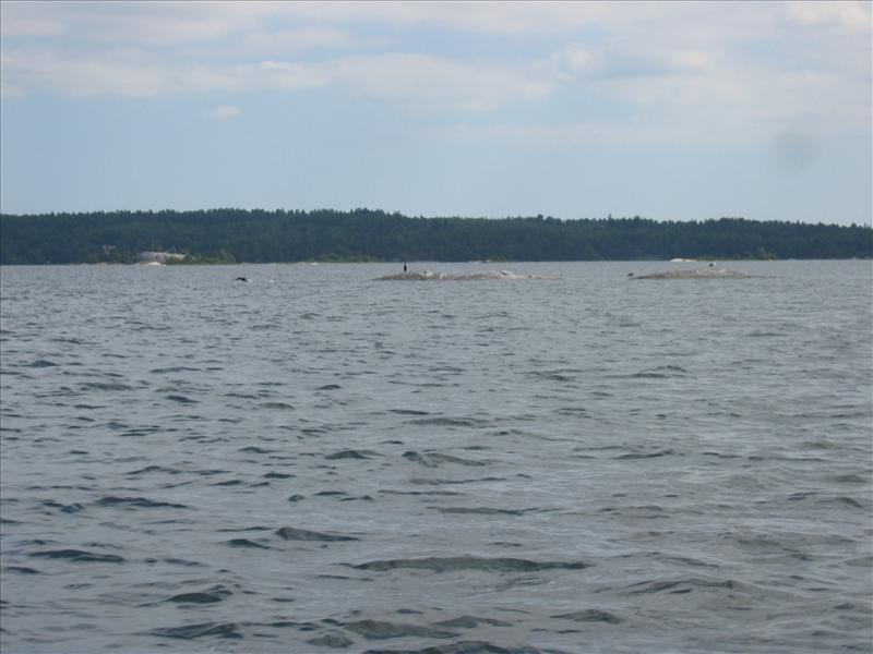 Sweden 2007-08 198